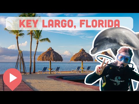 Best Things to Do in Key Largo, Florida