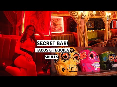 Hidden Speakeasy Bar themed as Day of the Dead! Secret Nightlife in Miami! Tequila, Tacos, &amp; Skulls!