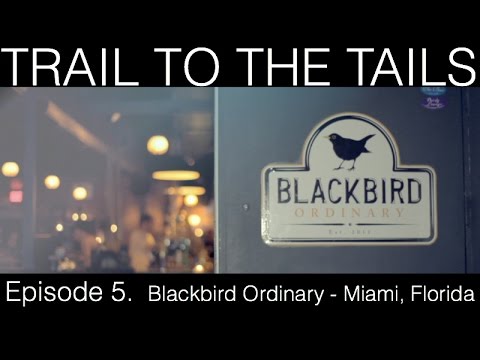 Blackbird Ordinary - Miami, Florida - Episode 5.