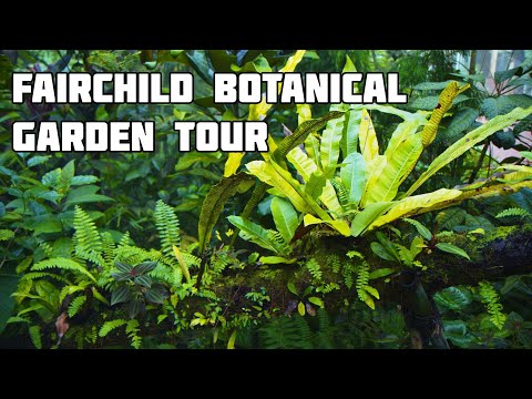 Fairchild Botanical Garden Tour ( Dec 2022 )