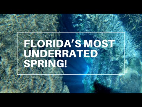 FLORIDA’S MOST UNDERRATED SPRING | Florida Springs | Ichetucknee Springs State Park