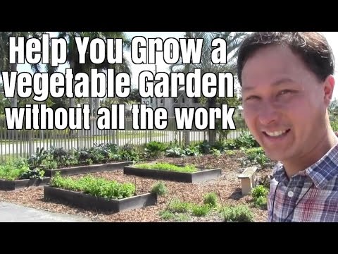 Help You Grow a Vegetable Garden in Miami without all the work