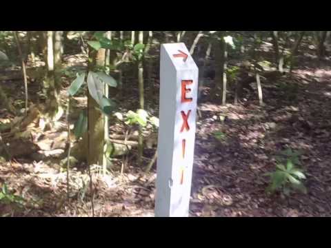 Hiking trails at Matheson Hammock park