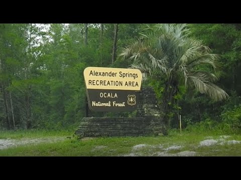 Alexander Springs Recreation Area Florida Full Campground Tour with all Campsites recorded.