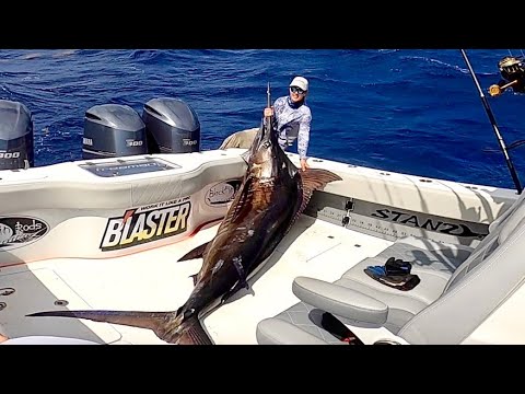 *HUGE BLUE MARLIN*!!! Catch Clean Cook