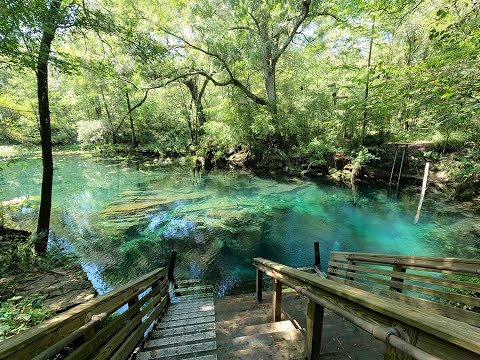 Exploring Wes Skiles Peacock Springs State Park